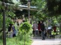 گزارش تصویری اردوی فرهنگی حامیم دختران 